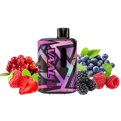 VAAL E5000 Mixed berries (Ягідний мікс) Одноразовий POD