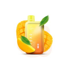 Elf Bar Raya D1 13000 Double Mango (Дабл Манго) Одноразовий POD