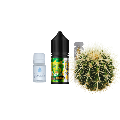 Набір для самозамішування In Bottle Puzzle Cactus (Кактус, 50 ​​мг, 30 мл)