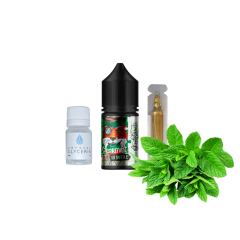 Набір для самозамішування In Bottle Salt Spearmint (М'ята, 50 мг, 30 мл)