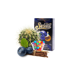 Тютюн Serbetli Blueberry Cinnamon Bubble Cactus (Чорниця Кориця Жуйка Кактус, 50 ​​г)
